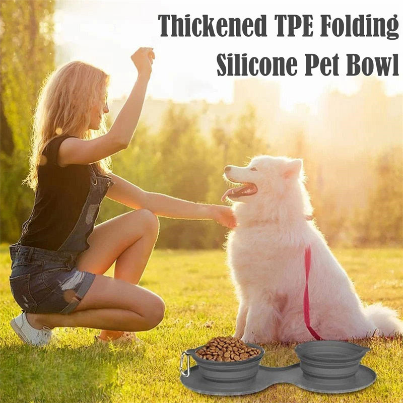 Foldable Pet Feeding Double Bowl